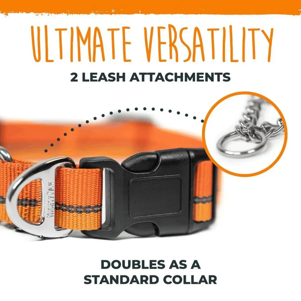 NWT Mighty Paw Orange Martingale Dog Collar 2.0